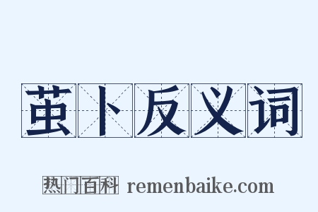 茧卜反义词是什么意思的图片